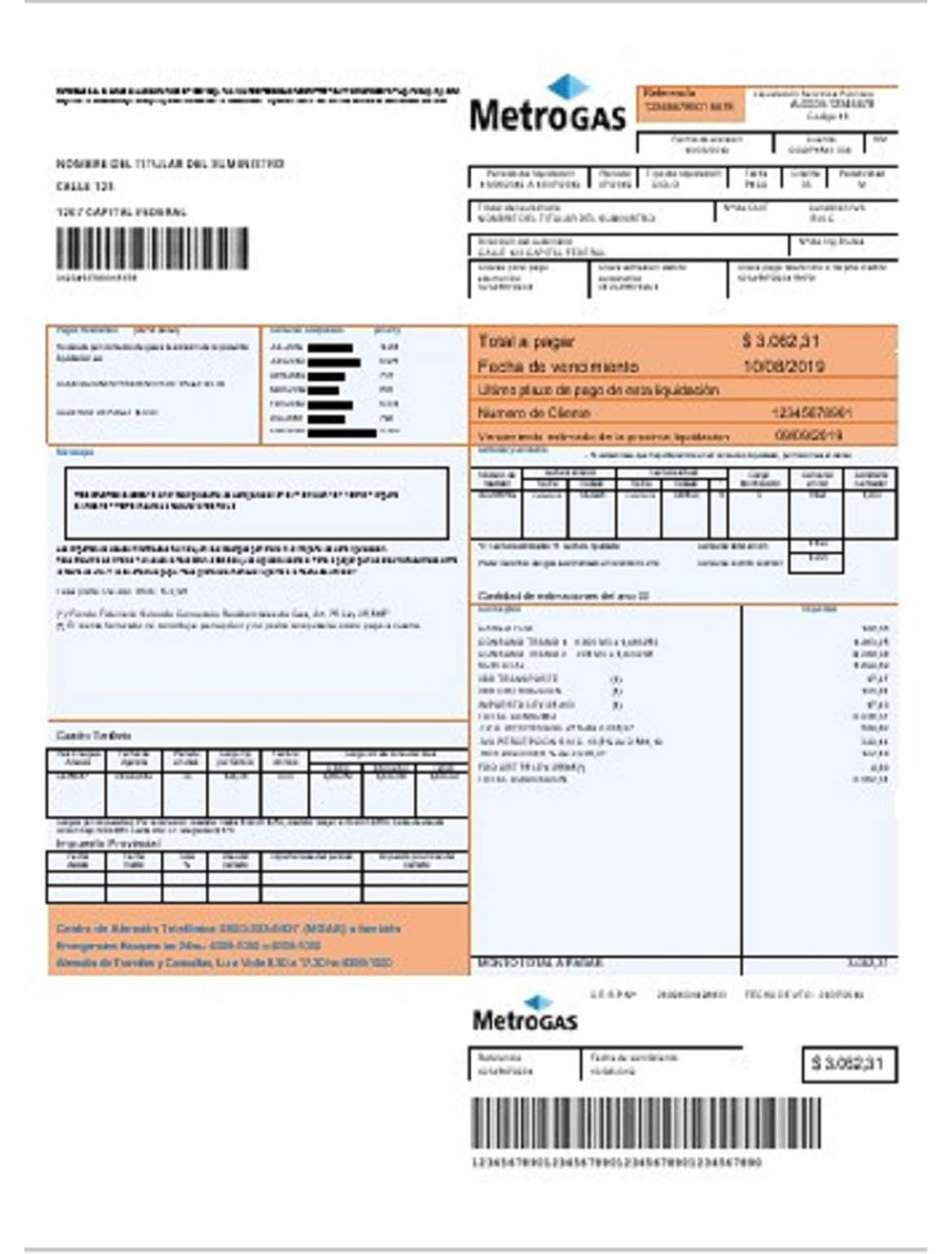 Argentina Metrogas easy to fill utility bill - FreeUtilityBills.net