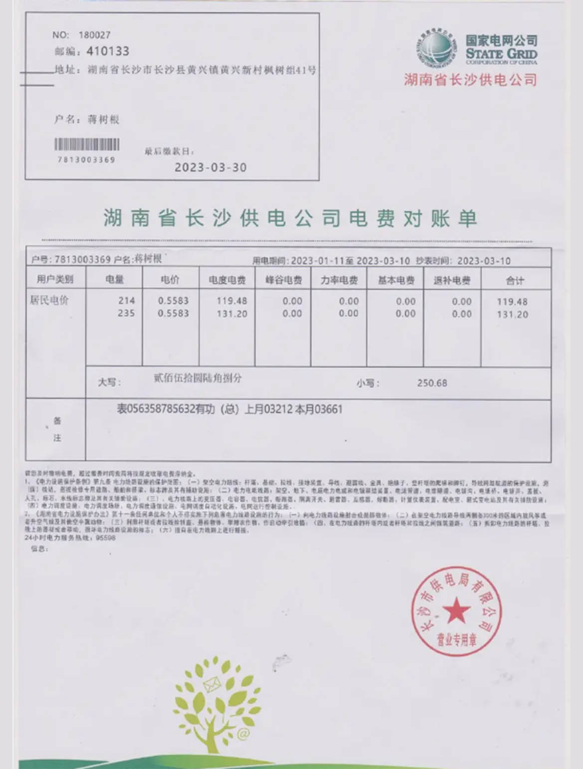 China state power grid utility bill