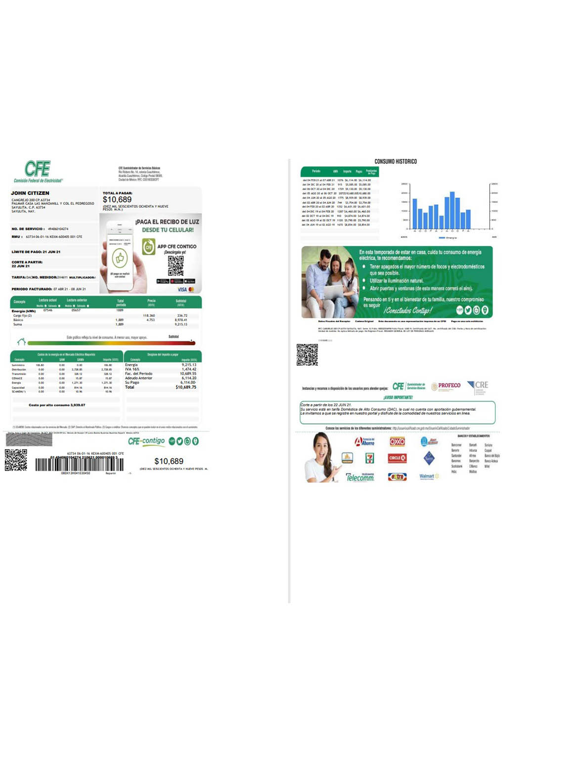 Mexico federal electricity commission (CFE) utility bill
