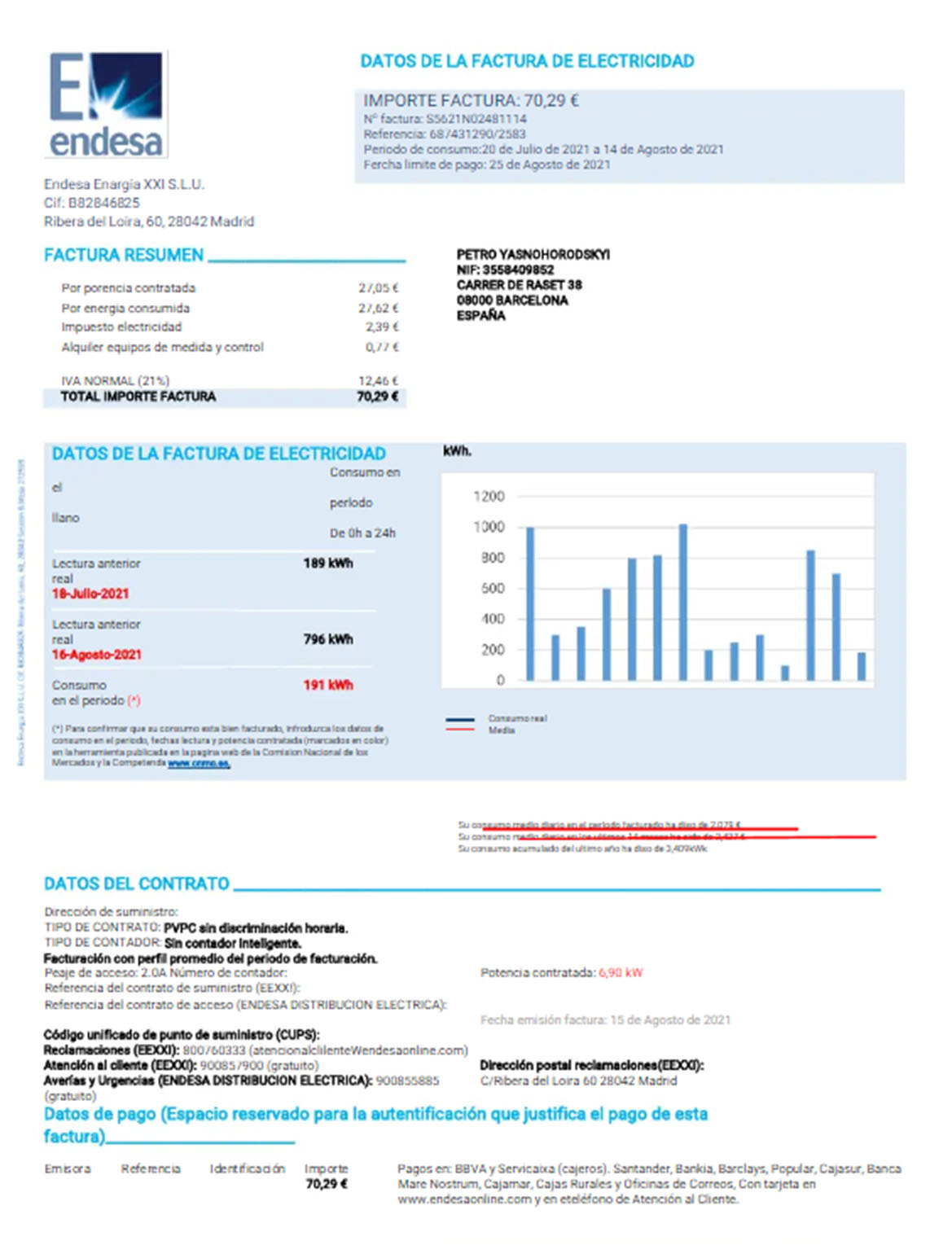 Spain Endesa utility bill